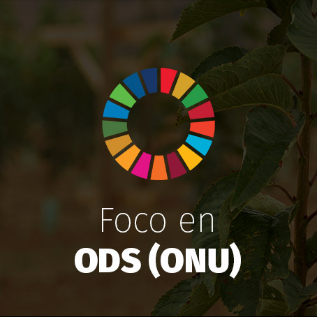 Foco en ODS (ONU)