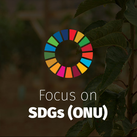 Foco en ODS (ONU)